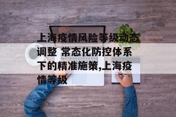 上海疫情风险等级动态调整 常态化防控体系下的精准施策,上海疫情等级